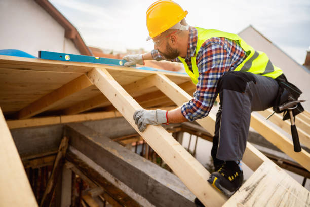 Best Roof Gutter Cleaning  in Mcgaheysville, VA