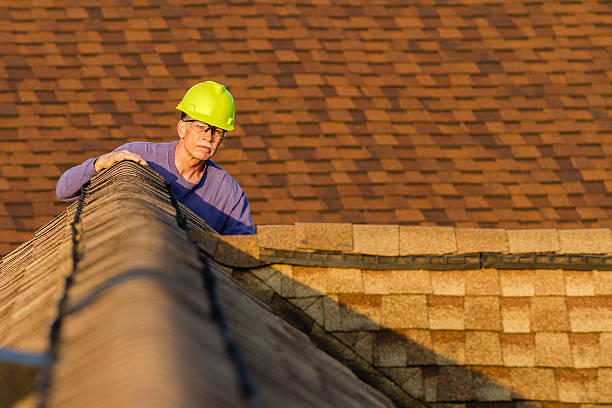 Best Storm Damage Roof Repair  in Mcgaheysville, VA